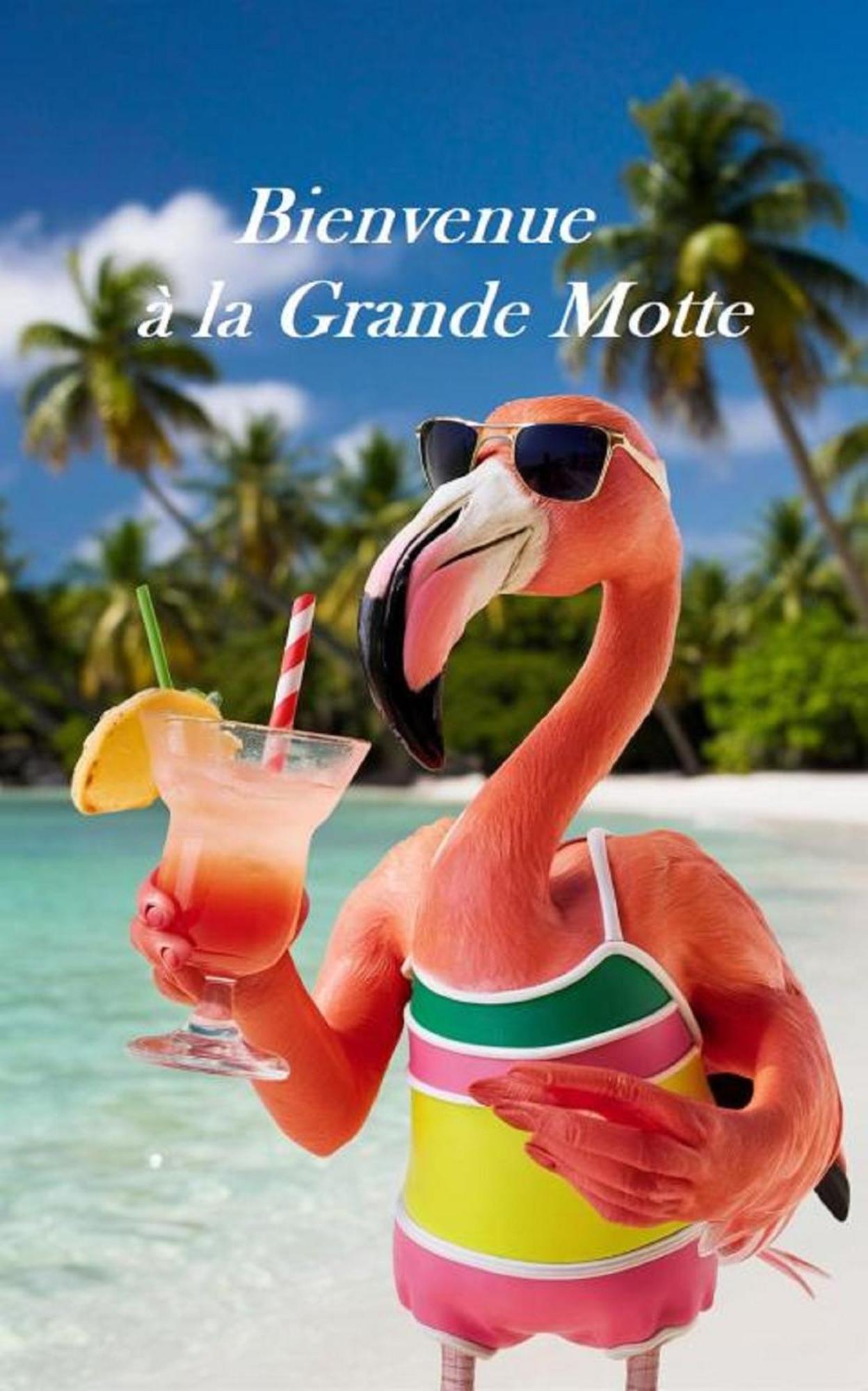 Mes vacances à la mer La Grande-Motte Eksteriør bilde